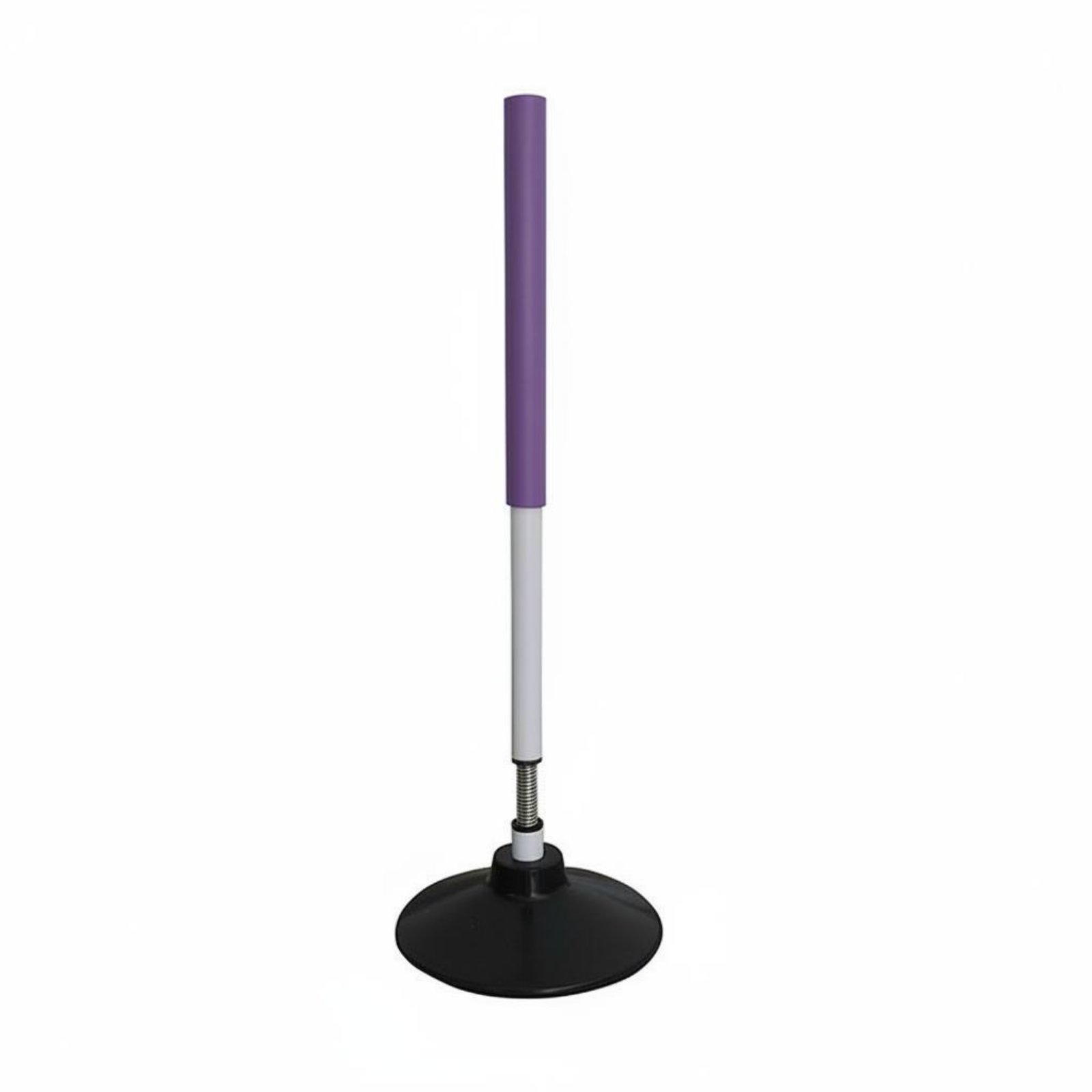 Training Pole + Agility Poles