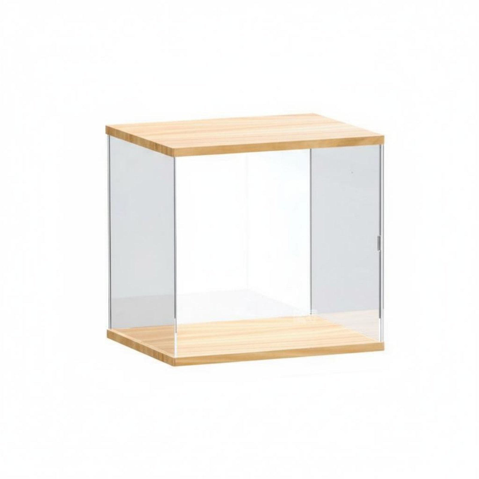 Clear Acrylic Figurine Display Case