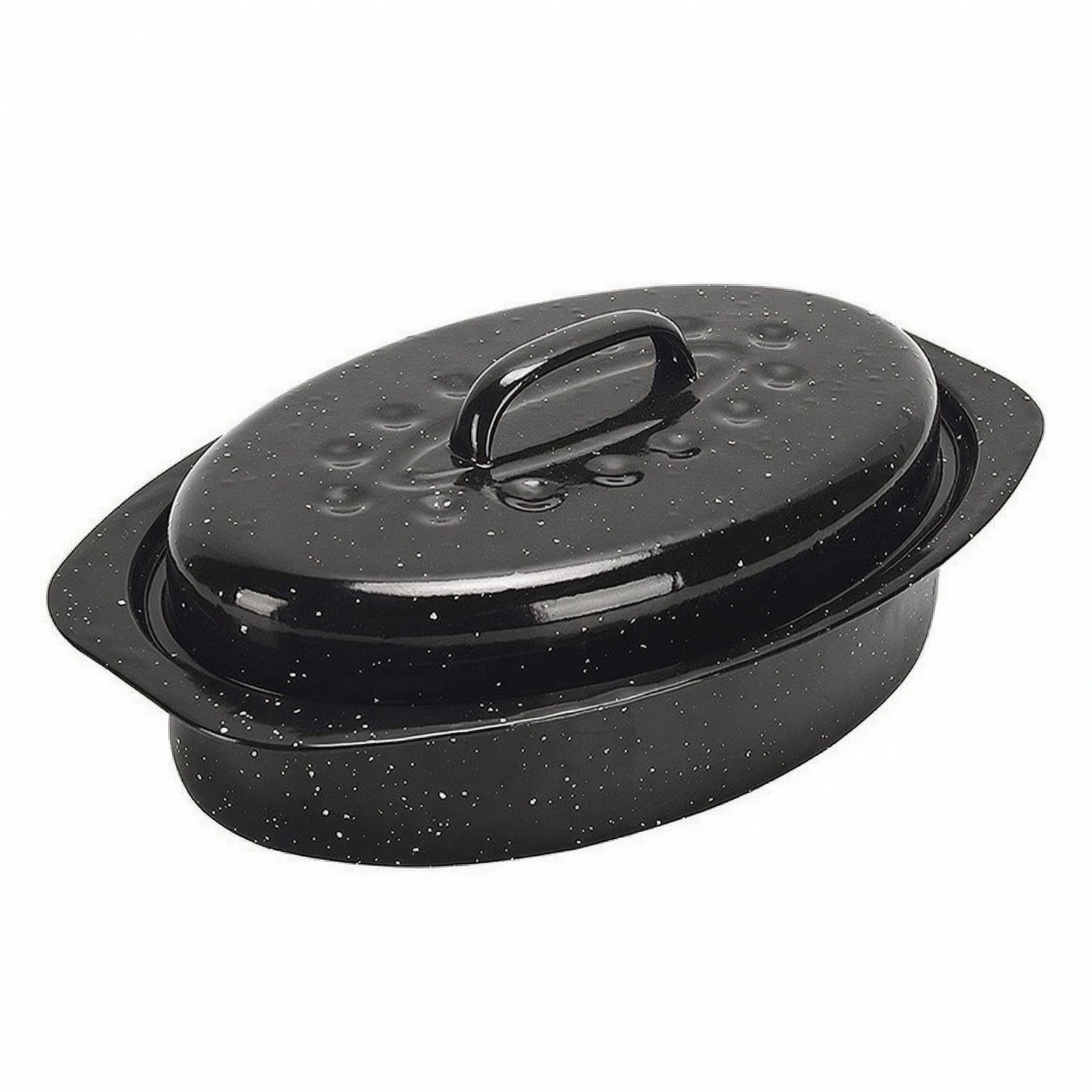 Enameled Cast Iron Roaster