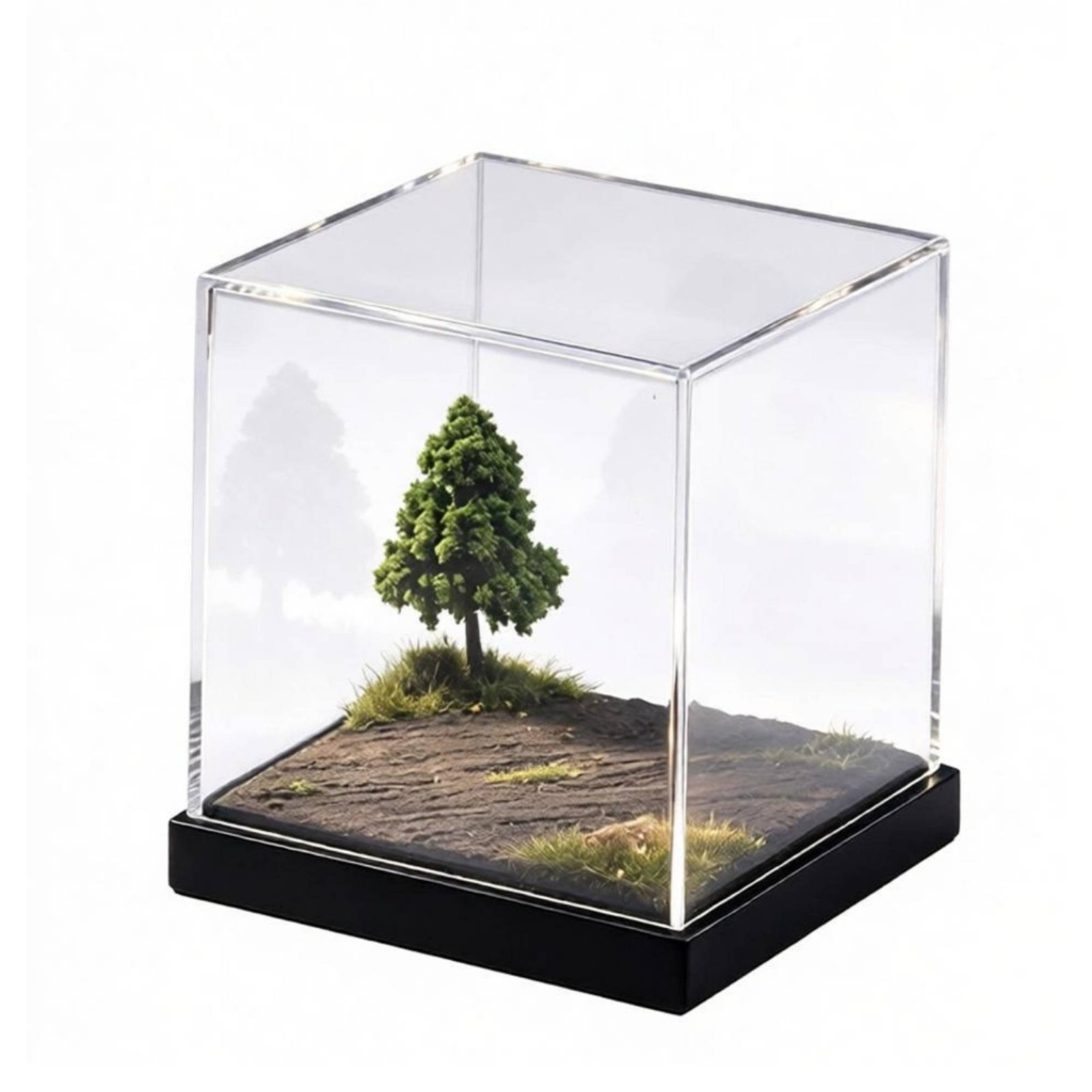 Dustproof Display Case