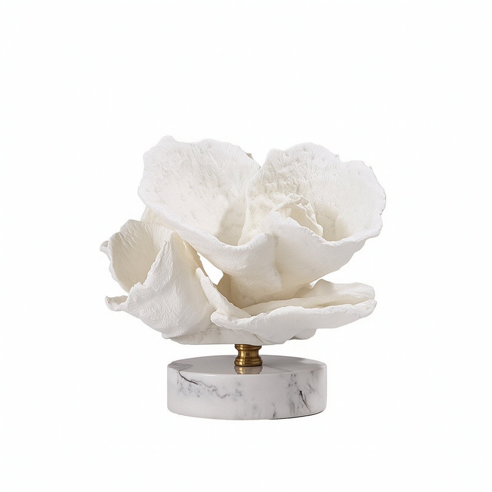 Coral Ornament with Marble Base