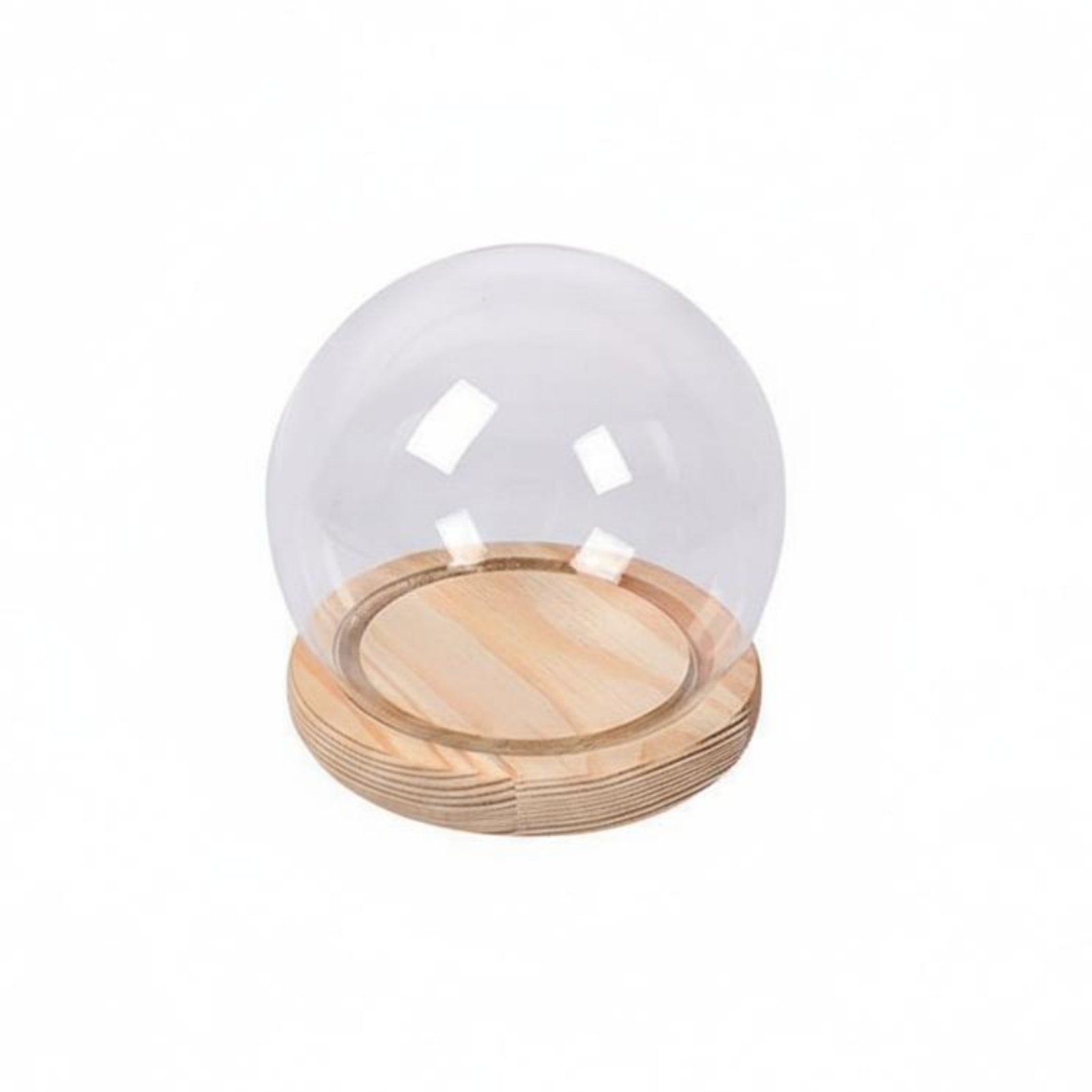 Glass Cloche with Wooden Base