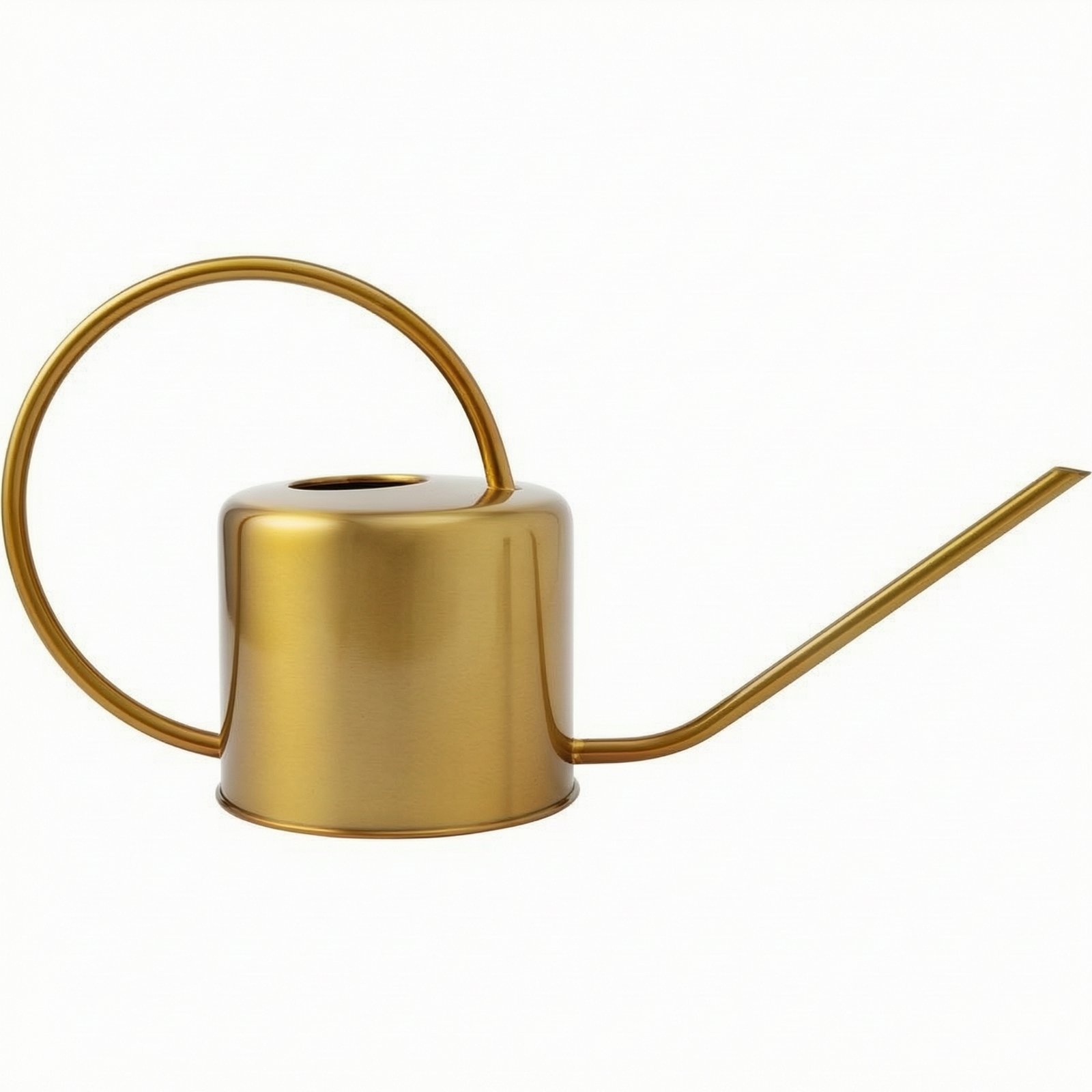 Stainless Steel Watering Can – Brass