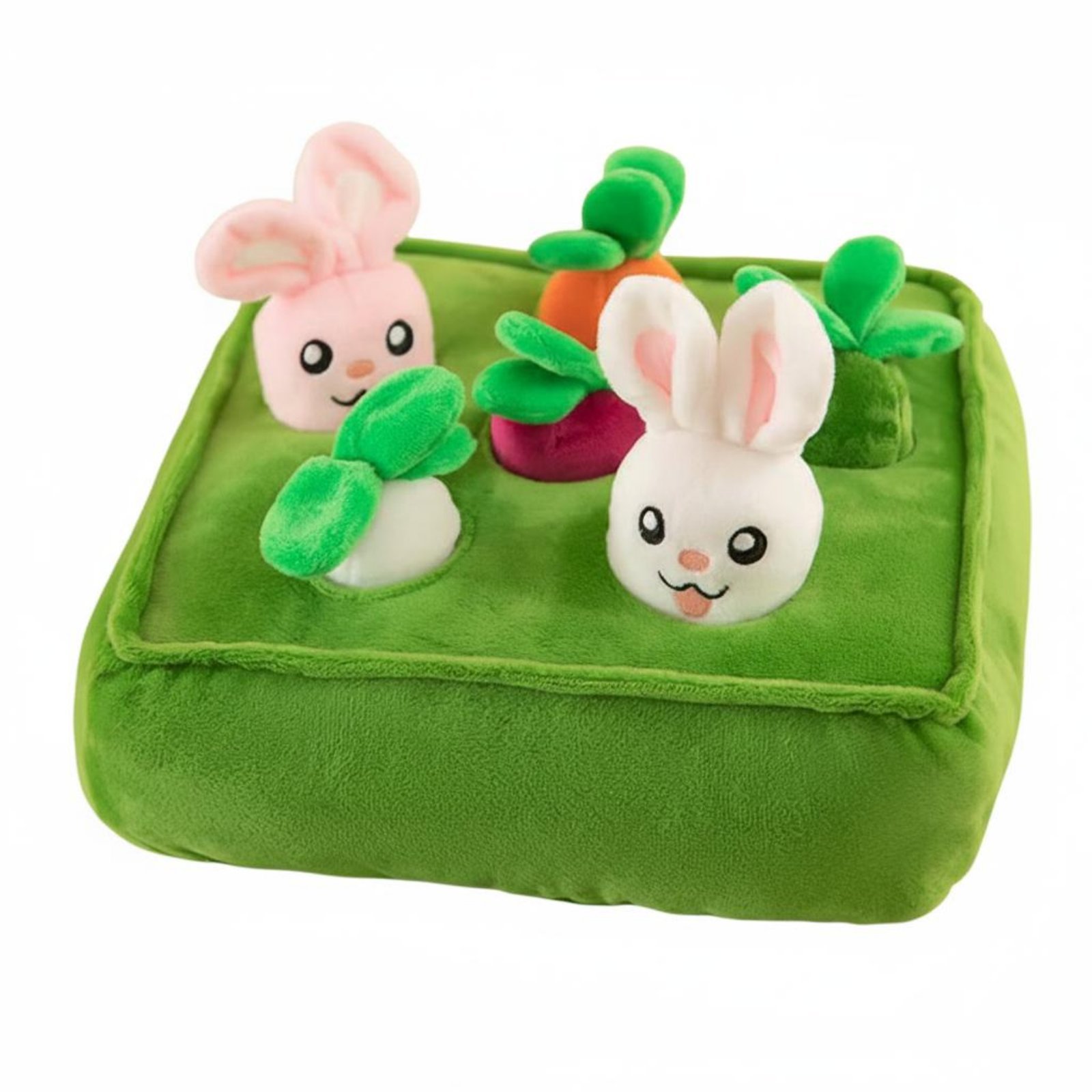Carrot Learning Toy