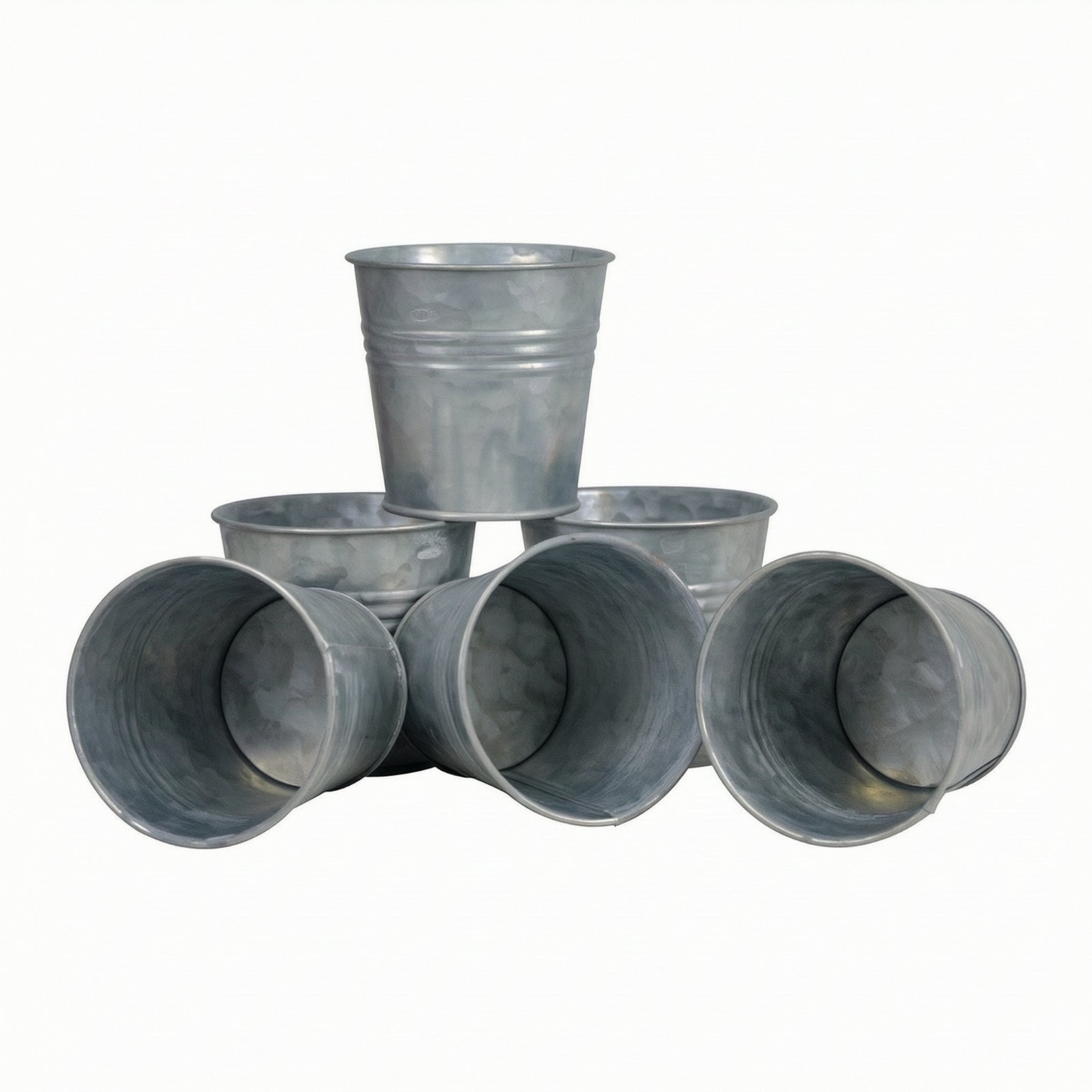 6-Piece Galvanized Bucket Planters