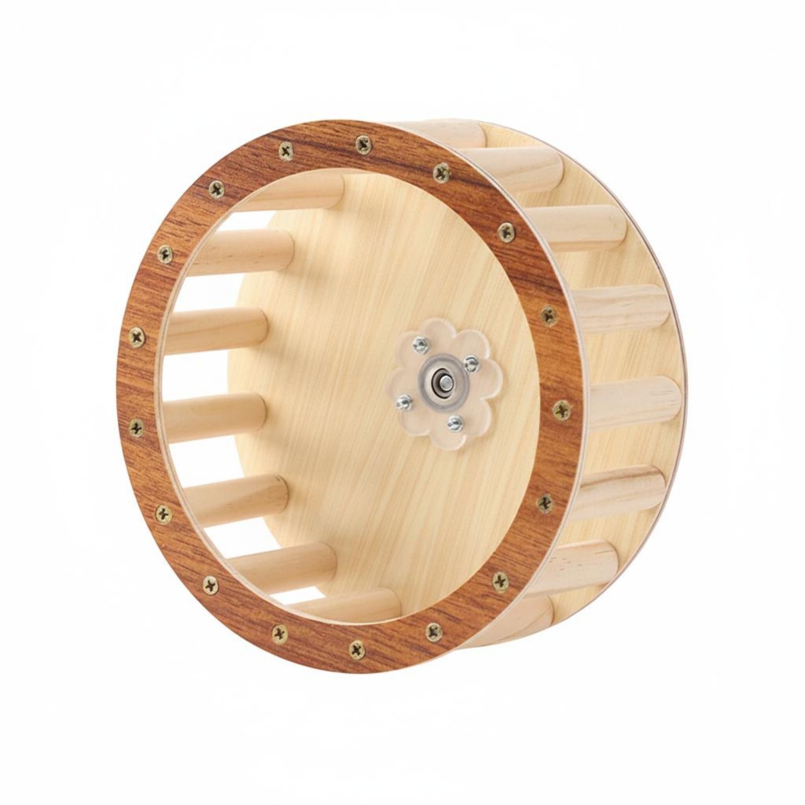 Parrot Exercise Wheel