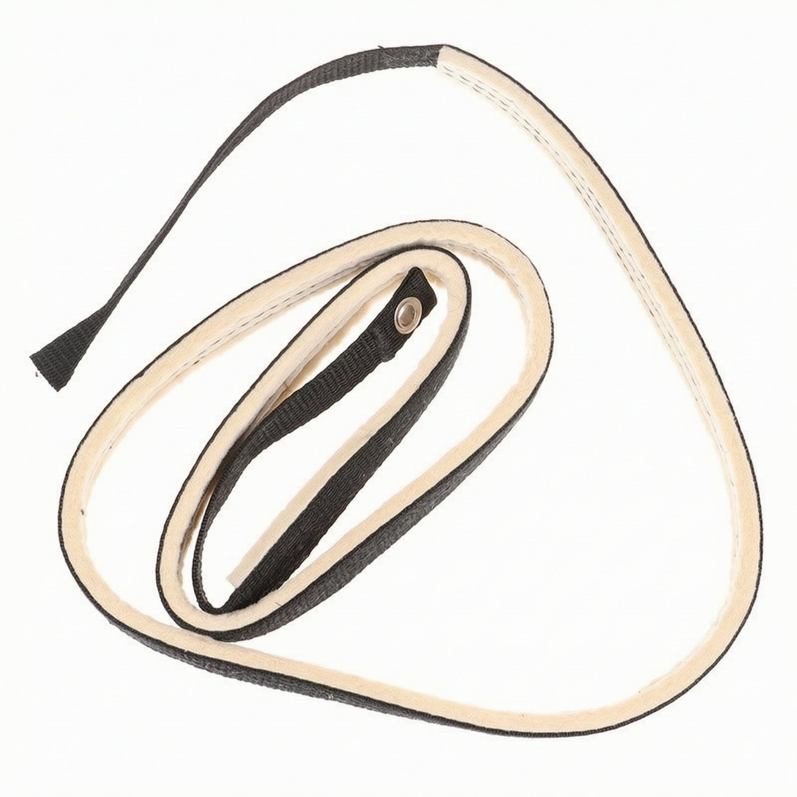 Exercise Bike Strap