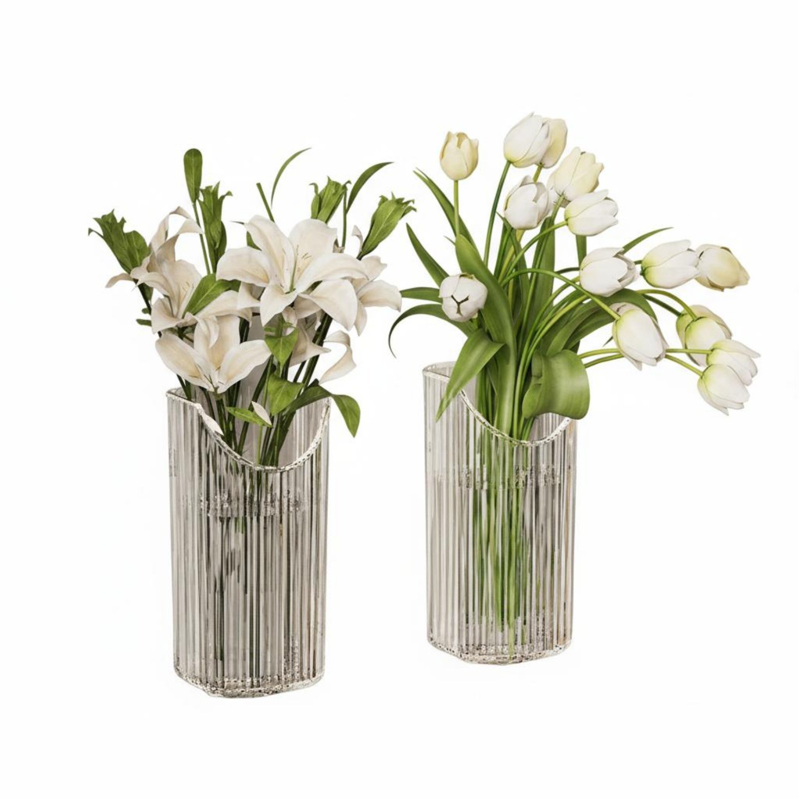 Clear Ribbed Plant Pocket