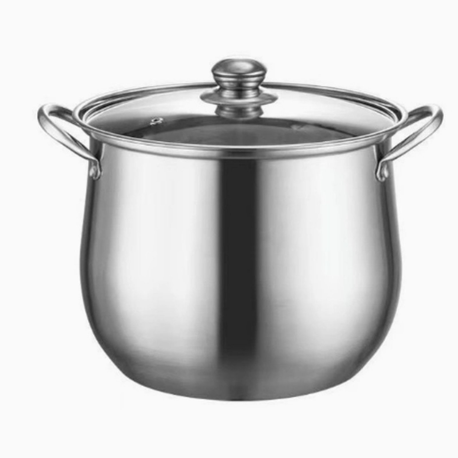 Stainless Steel Micro Steam Cooker