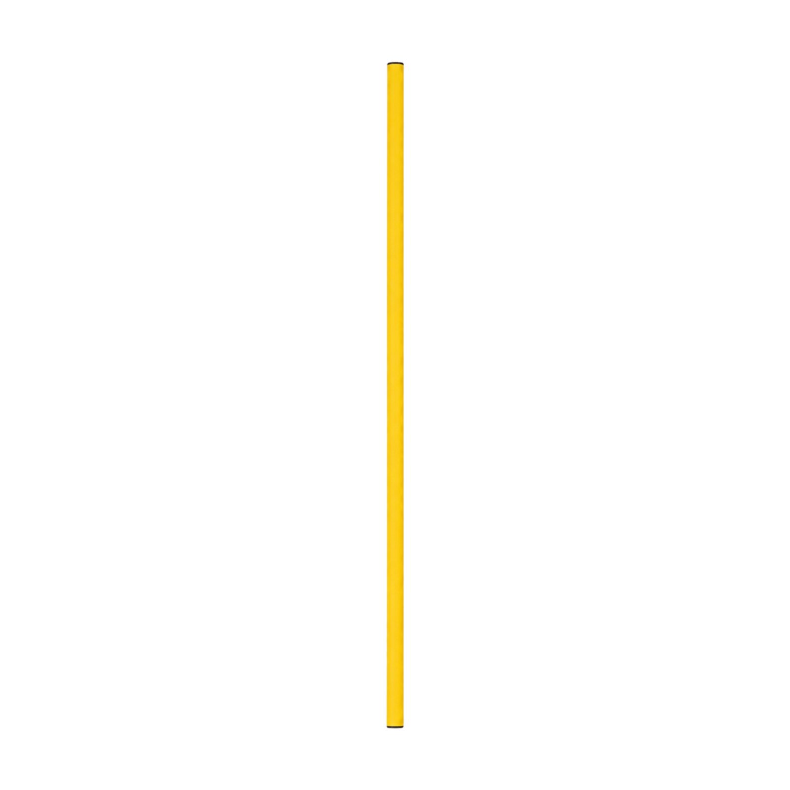 Training Pole 1.5 M Straight