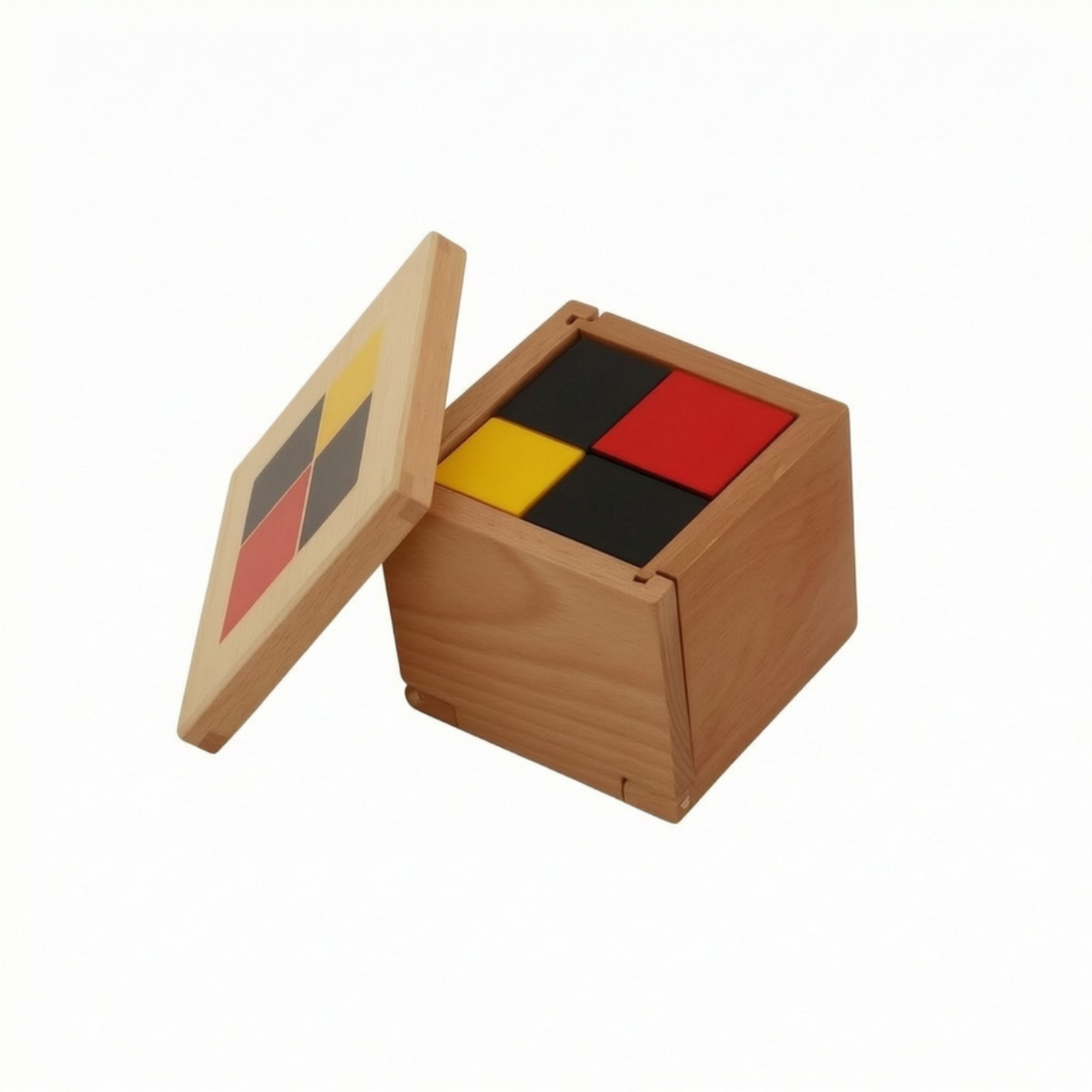 Binomial Cube Educational