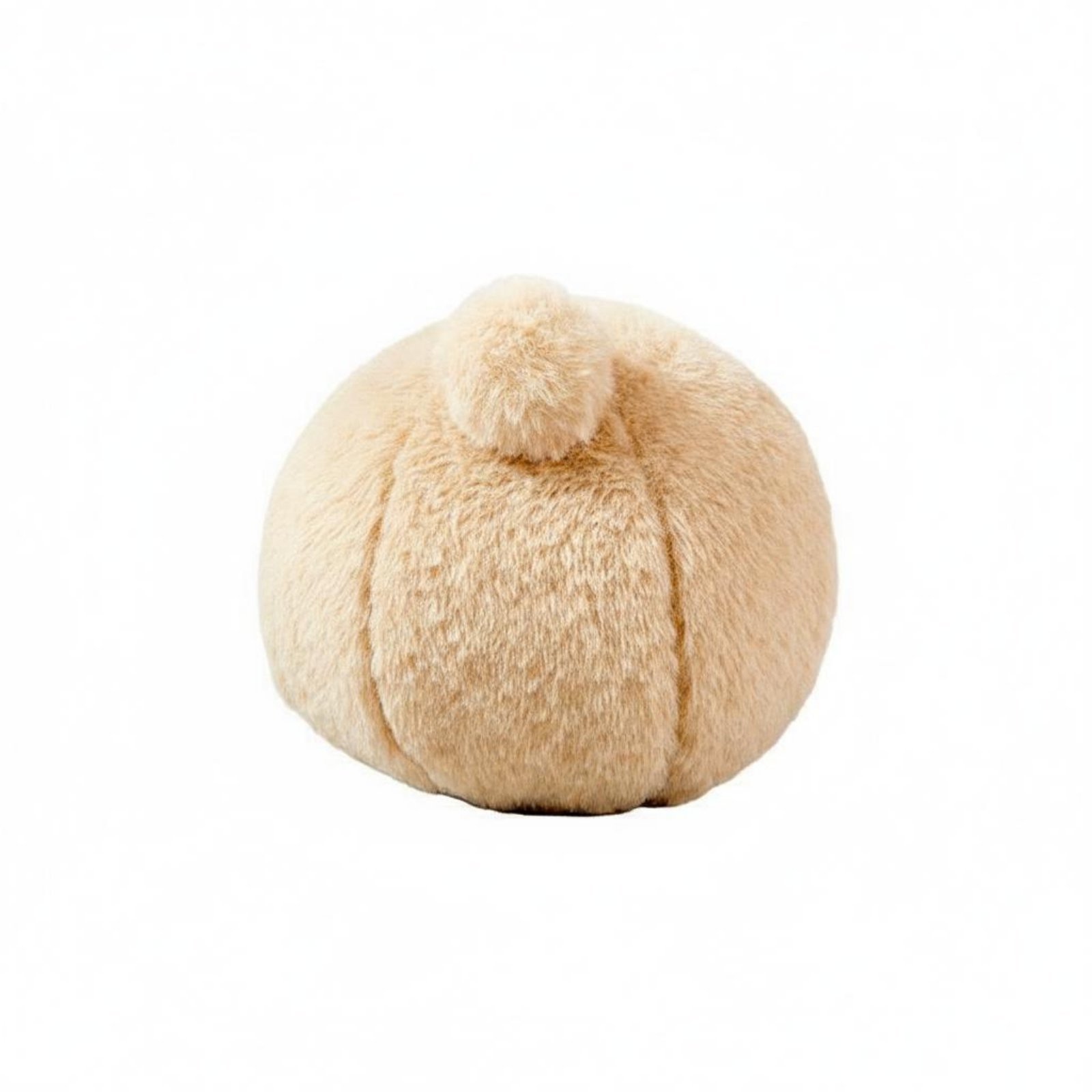 Guinea Pig Ball Toy