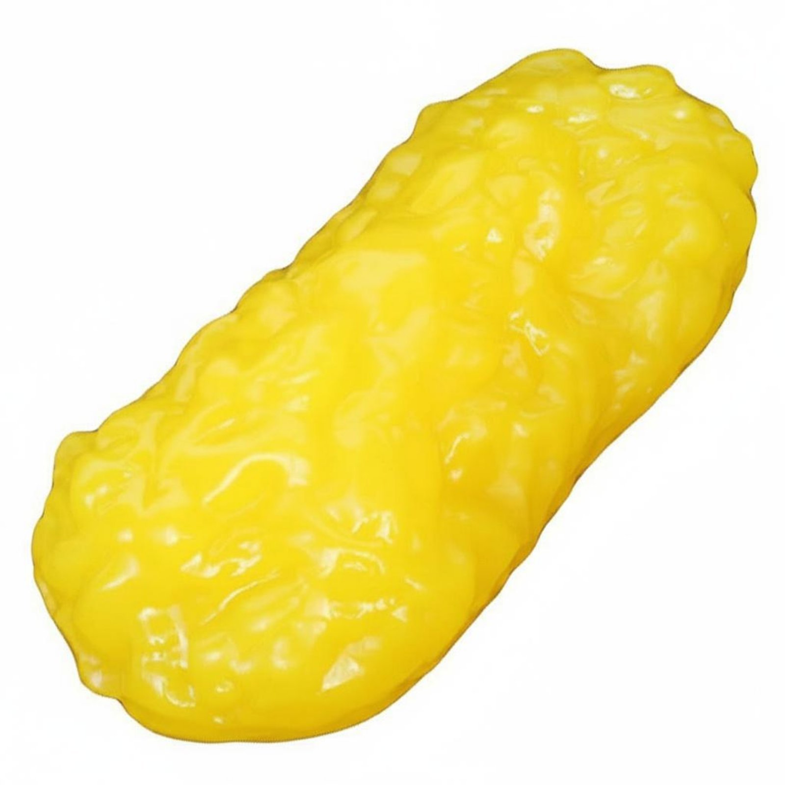 Anatomic Adipose Model