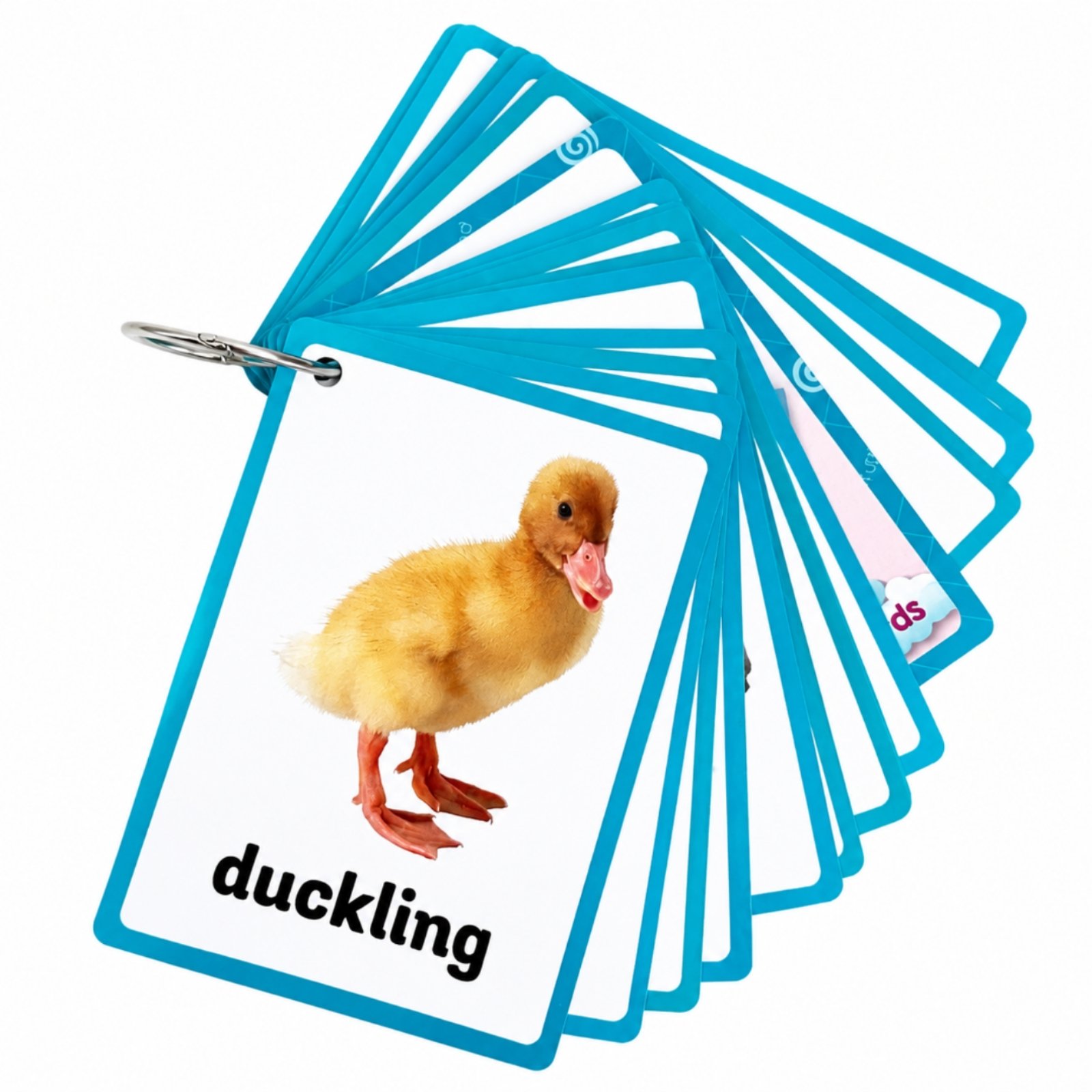 19-Piece Farm Animal Vocabulary Flashcards