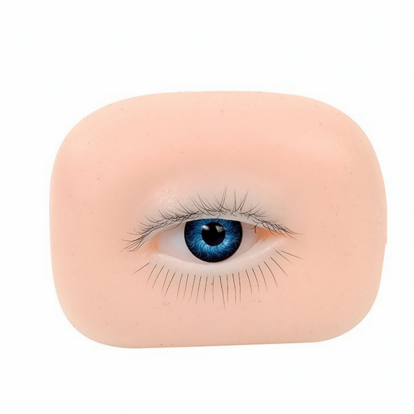 Facial Eyelash Practice Module