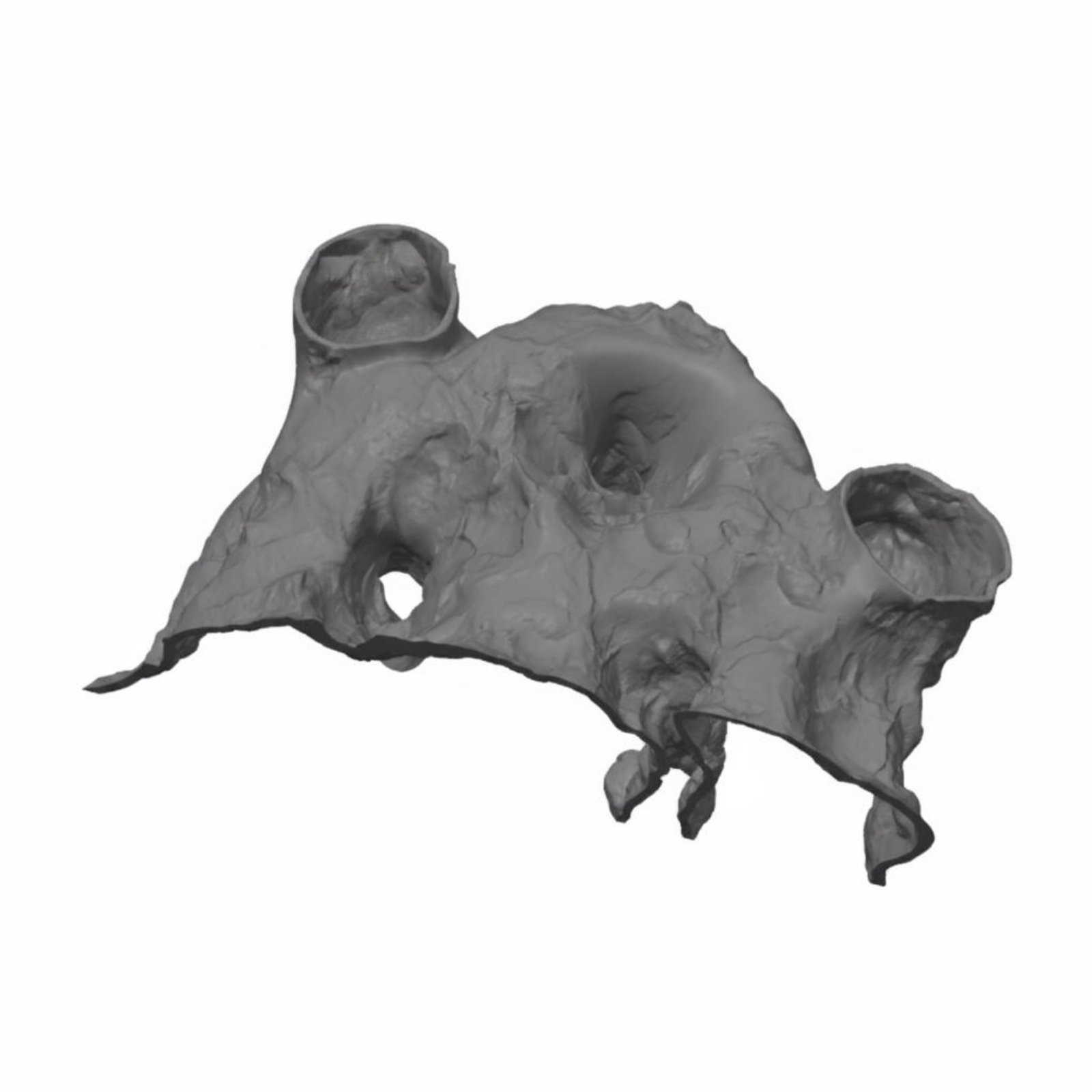 Aquarium Breeding Cave – Gray, Size M