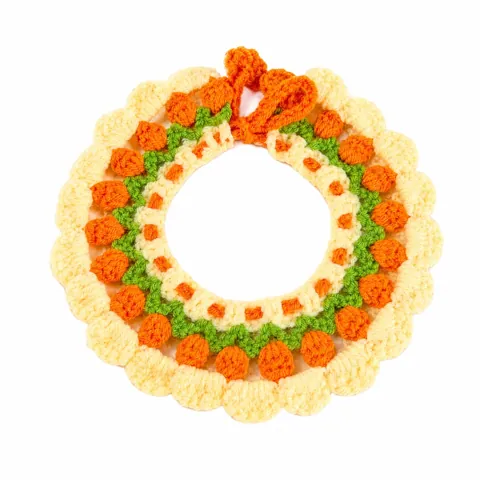 Pet Collars