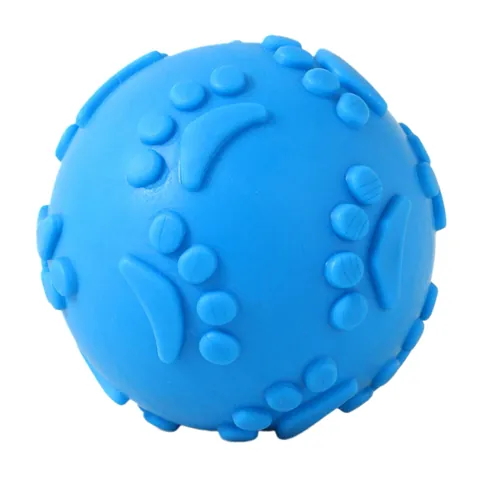Squeaky Dog Toy Blue