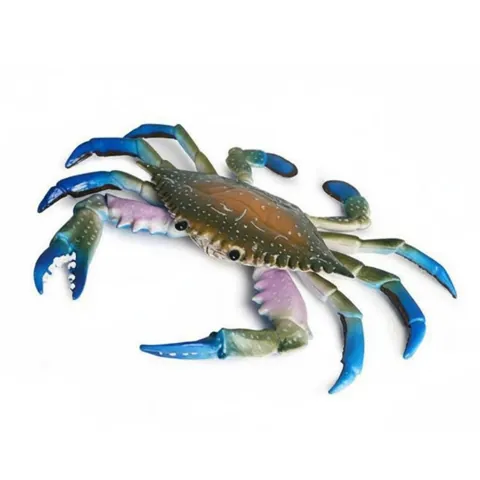 Crustacean Model