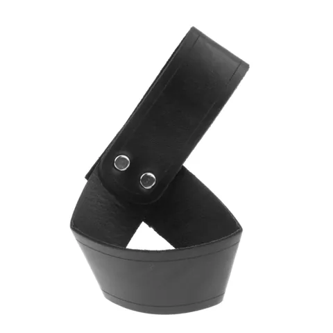 Sword Frog Holster