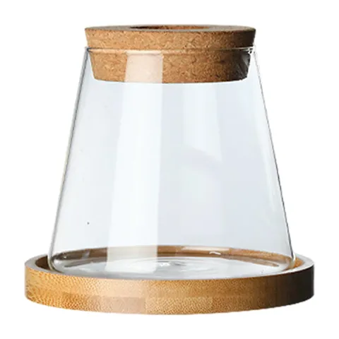 Glass Planter Vase
