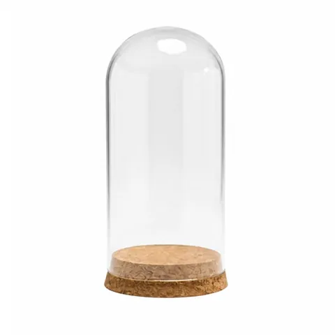 Glass Showcase Dome with Cork Base