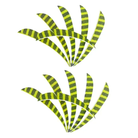 Archery Arrow Feathers