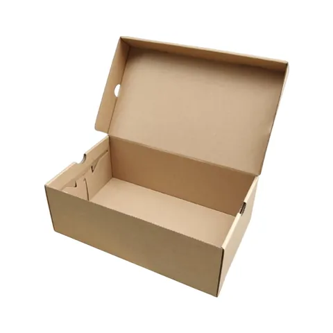 Shoe Storage Box Assemblable