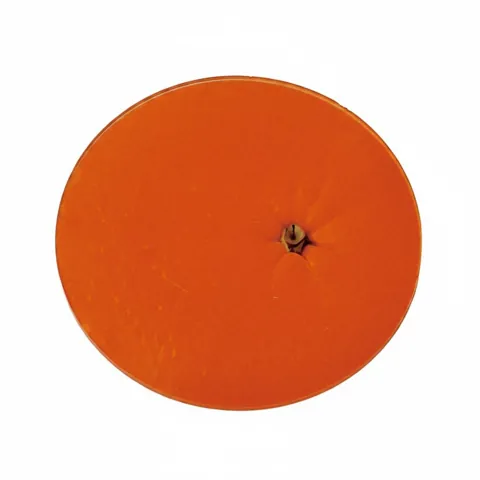 Fruit-Shaped Heat Insulating Coaster