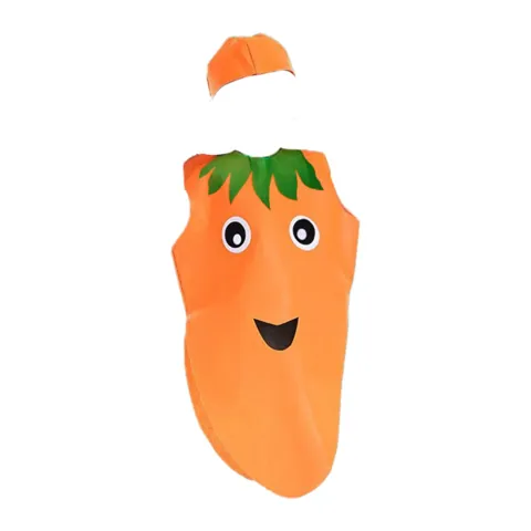 Kids Fruit Costume Carrot