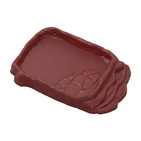 Reptile Food Bowl