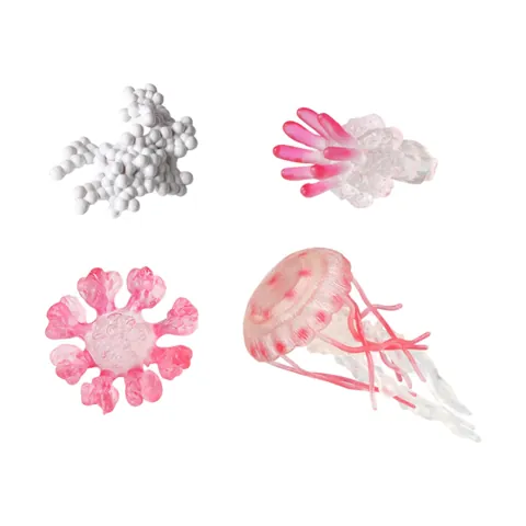Jellyfish Growth Cycle Figures Pink