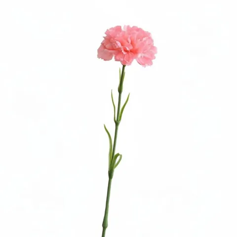 Carnation Stem Artificial