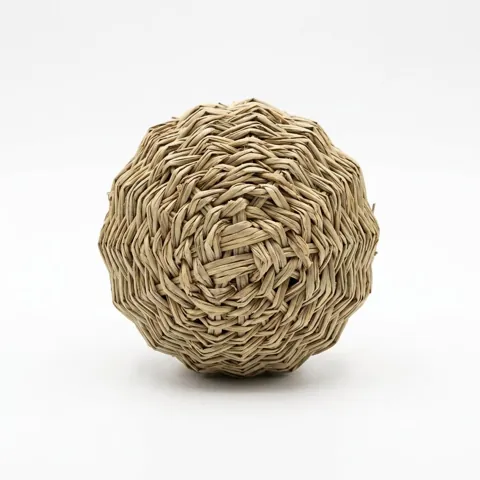 Seagrass Ball Chew Toy