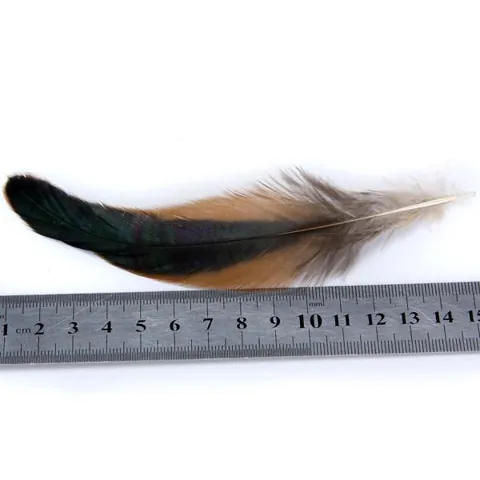 Rooster Feather Hat Decor