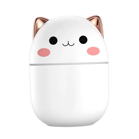 USB Mini Humidifier Diffuser 250ml