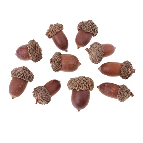 Natural Acorns Table Ornament
