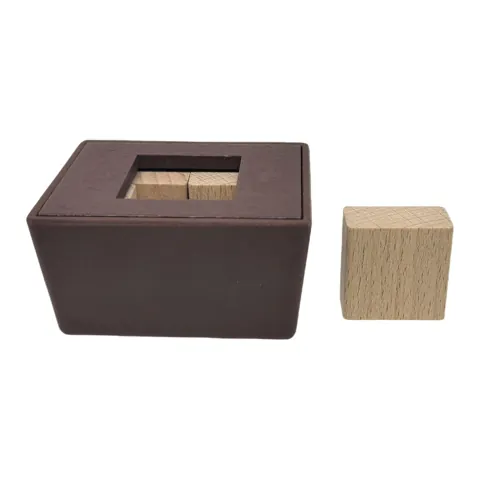 Wooden Brain Teaser Cube