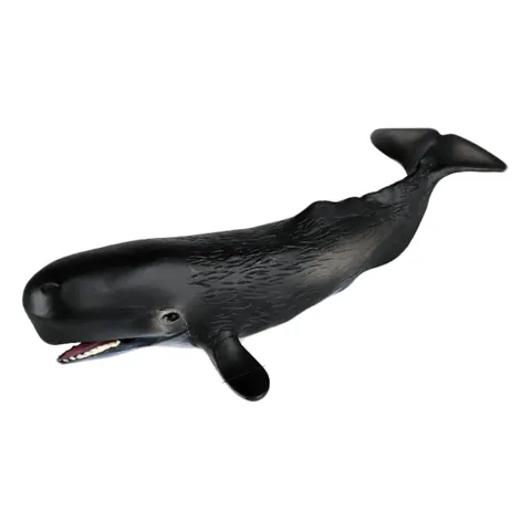 Ocean Animal Figures