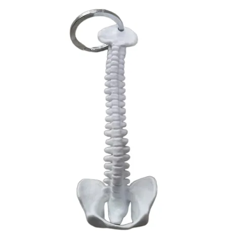 Spine Skeleton Keychain