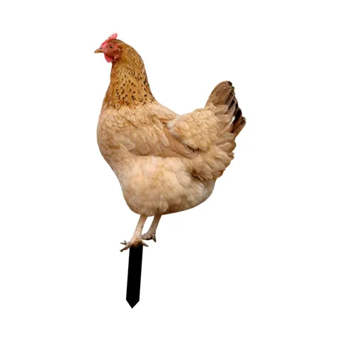Chicken Statue Stakes Style B