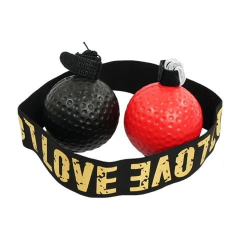 Boxing Reflex Ball Set