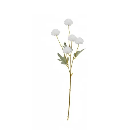 Chrysanthemum Spray Stem