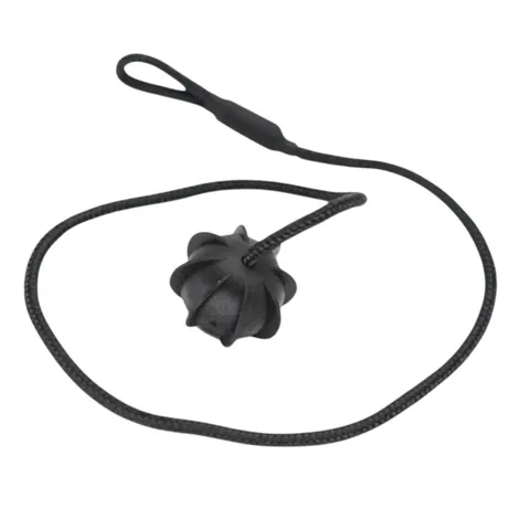 Trunk Parcel Shelf String