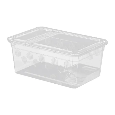 Reptile Feeding Box with Terrace