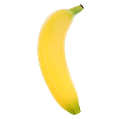 Fruit Shaker Maraca Rattle