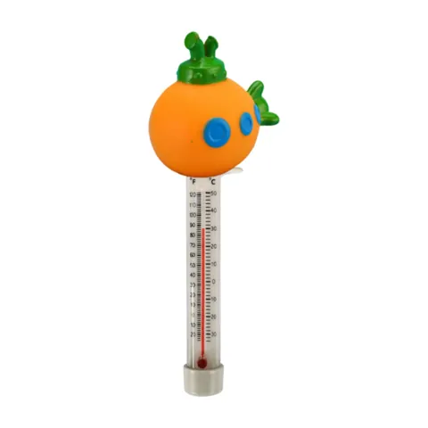 Pool Thermometer Large Size