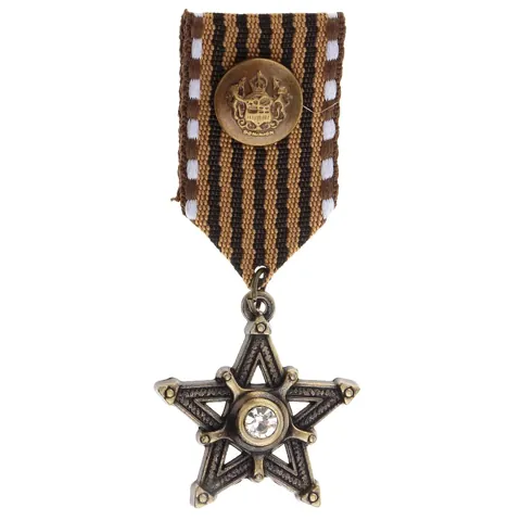Medal Brooch Pin
