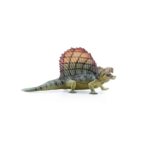 Dimetrodon Model
