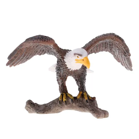 Eagle Model